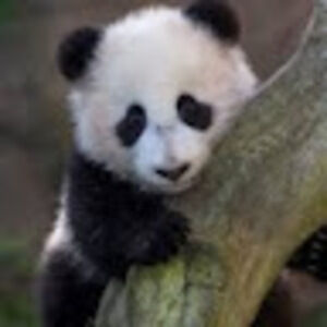 Meet your Posher, Kristin